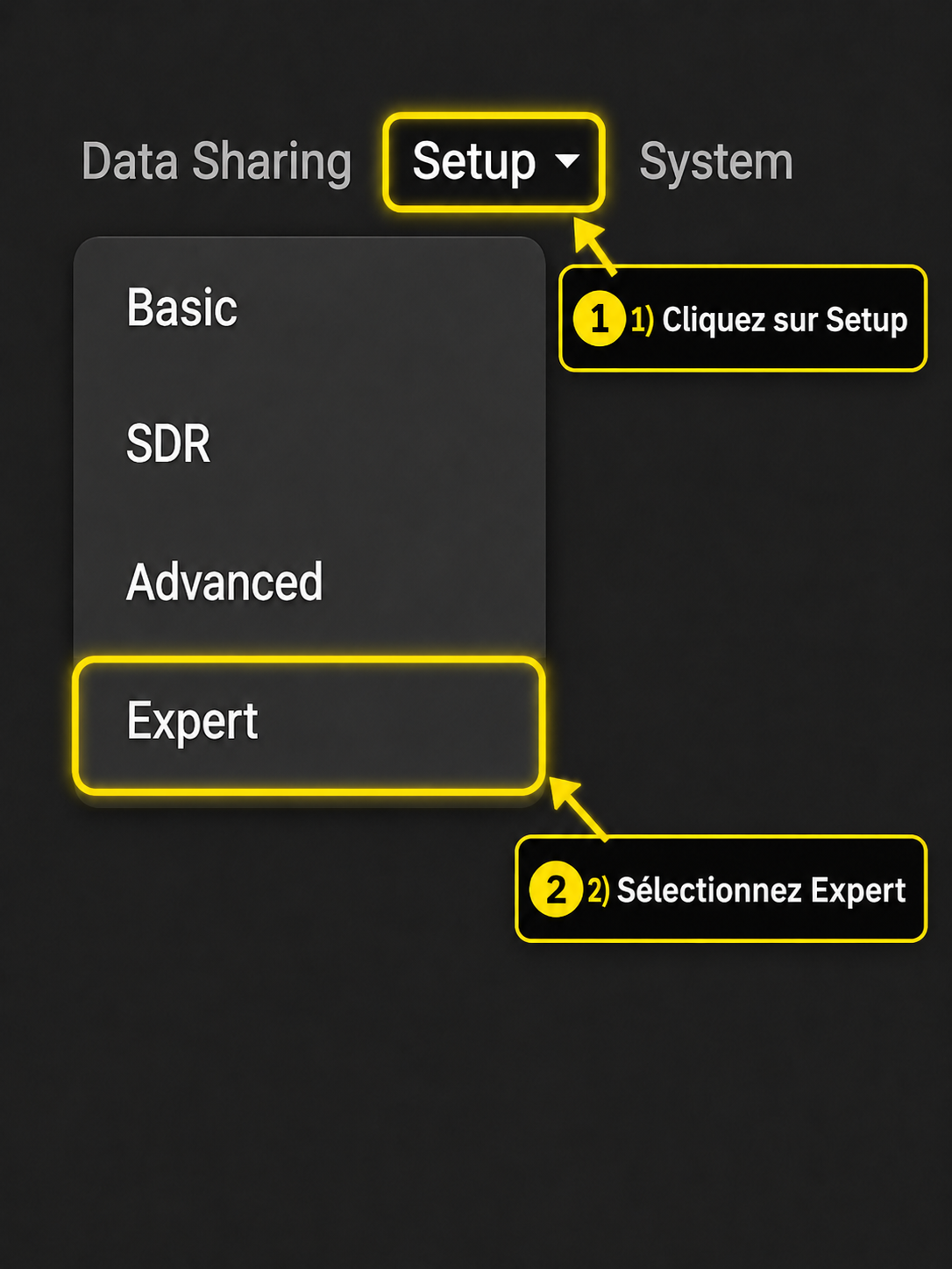 ADSB.im : cliquez sur Setup et sélectionnez Expert