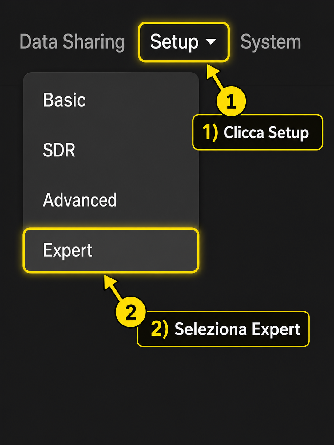 ADSB.im: clicca Setup e seleziona Expert